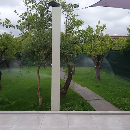 חאניה Olgas Cozy Home מראה חיצוני תמונה