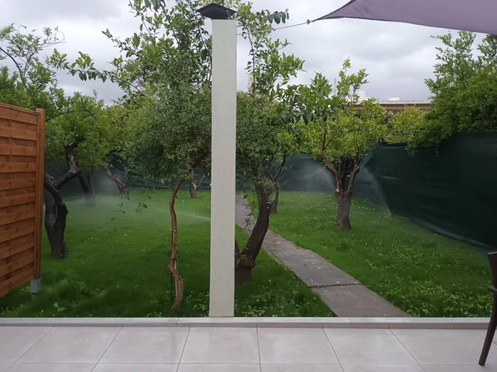 חאניה Olgas Cozy Home מראה חיצוני תמונה